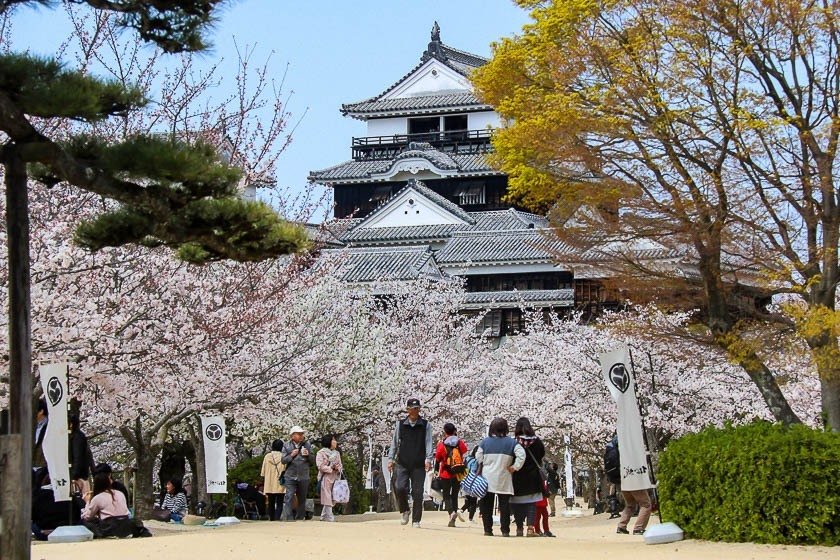 🏞️ 마쓰야마 공원(마쓰야마 코엔) 이미지 6